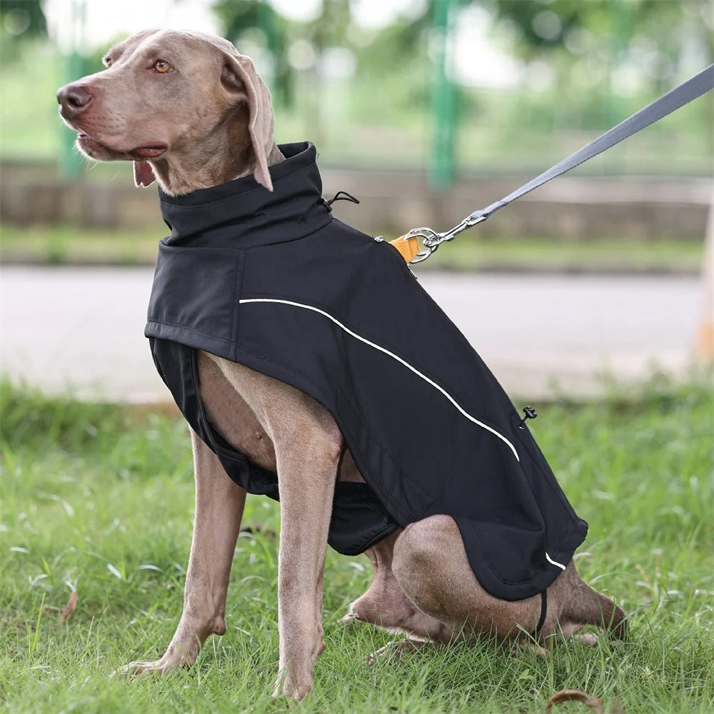 Waterproof Reflective Dog Jacket for All Weather Adventures