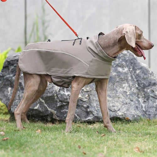 Waterproof Reflective Dog Jacket for All Weather Adventures