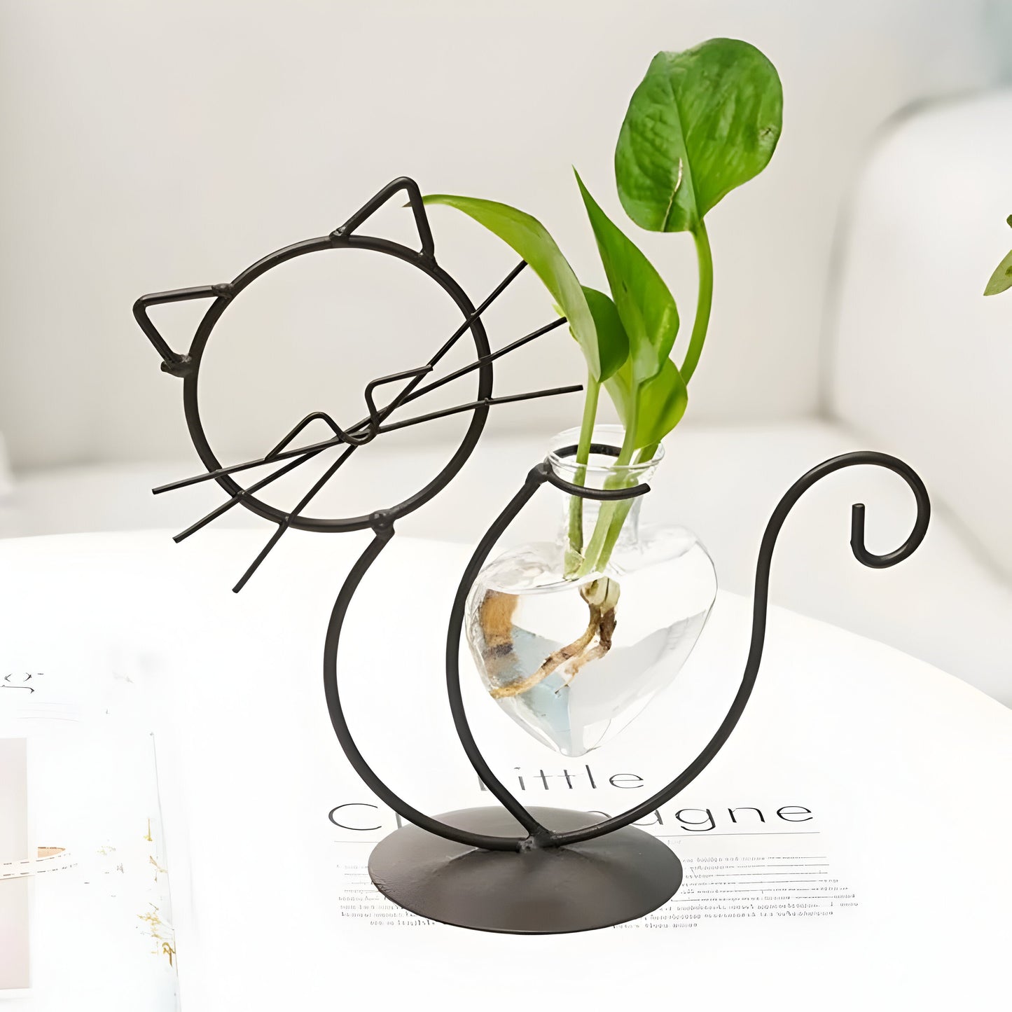 Hydroponic Heart-Shaped Glass Vase with Cat Holder