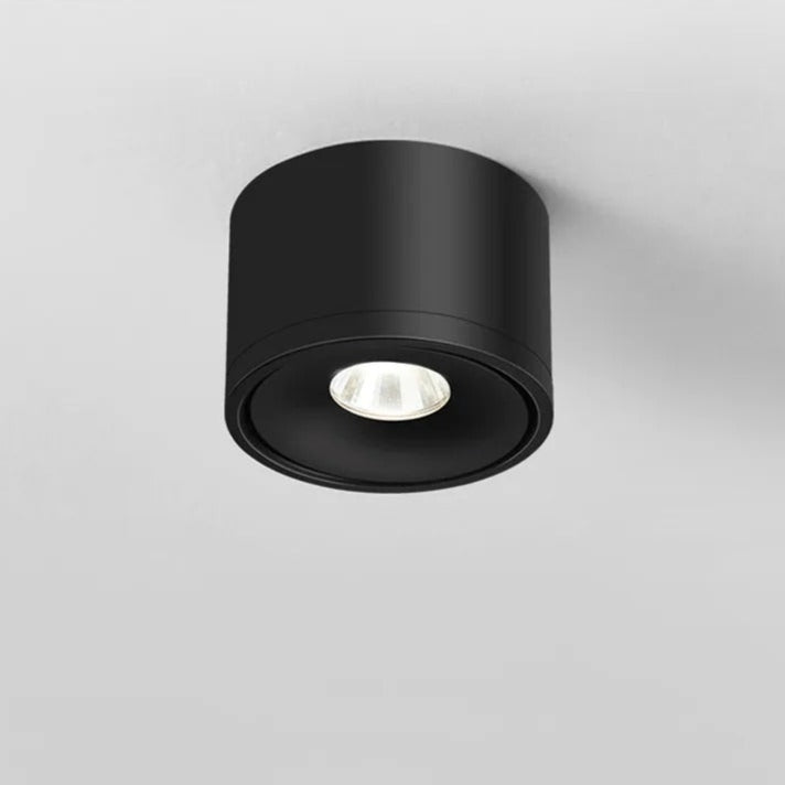 Rotating Surface-Mounted Ceiling Spotlight with Directional Beam