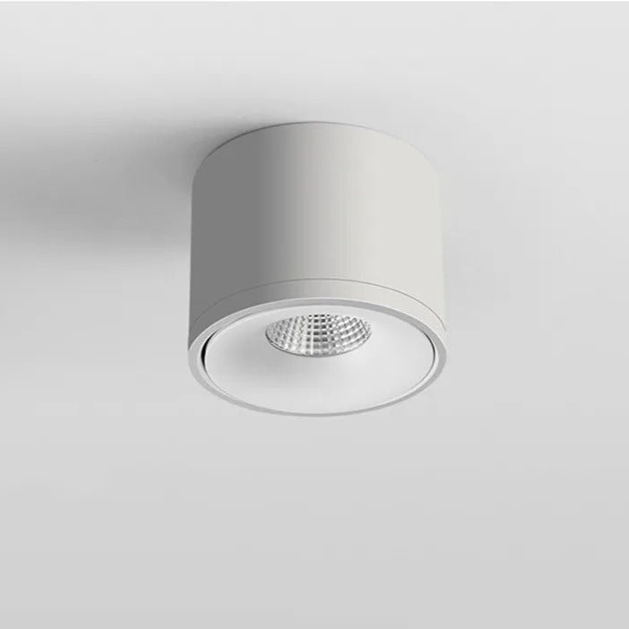 Rotating Surface-Mounted Ceiling Spotlight with Directional Beam
