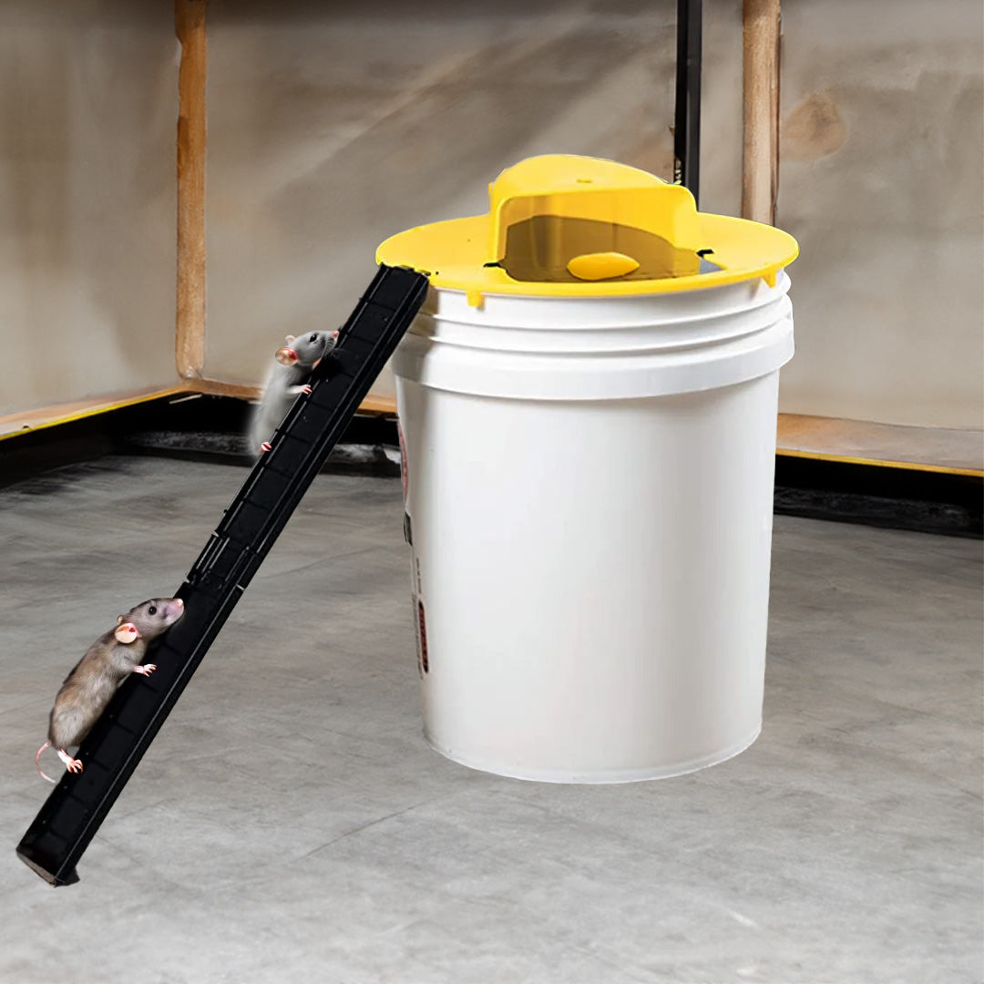 Humane Mouse Trap with Reusable Bucket Design