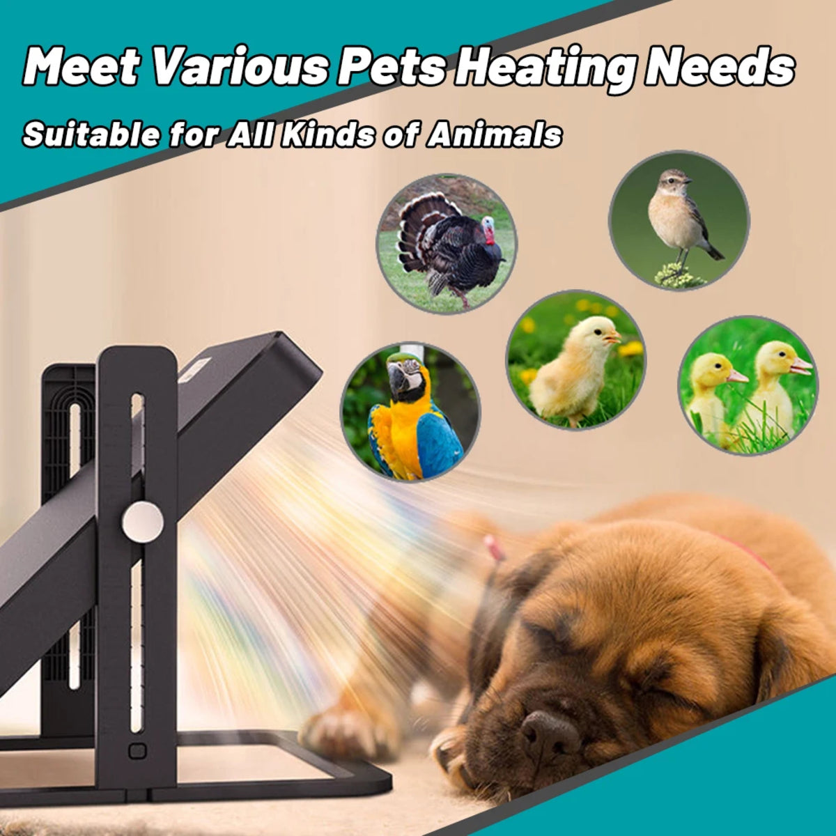 Smart Temperature-Controlled Heating Plate for Pet Brooding