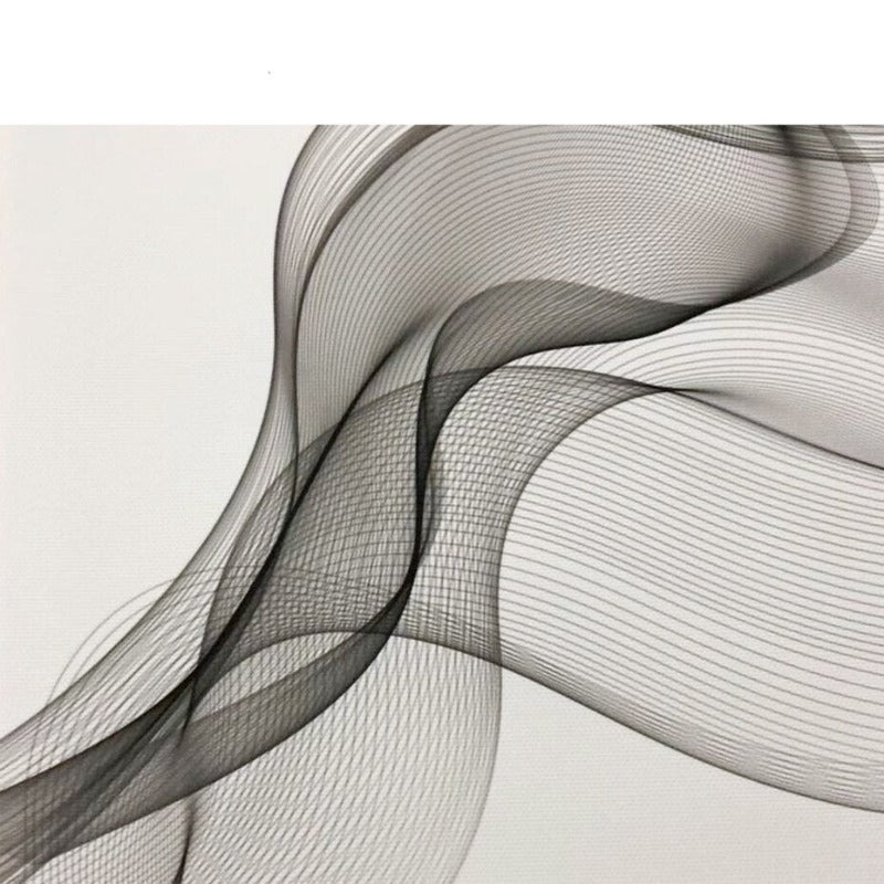 Abstract Wavy Lines in Black and White - Canvas Art Print