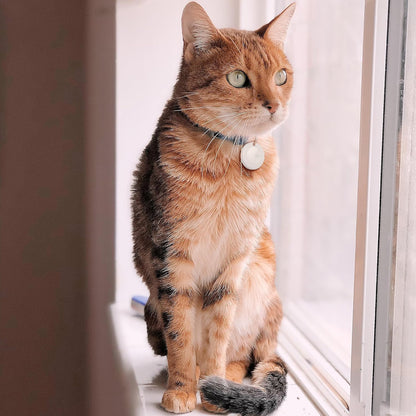 Bluetooth Pet Locator - Smart GPS Anti-Loss Tracker
