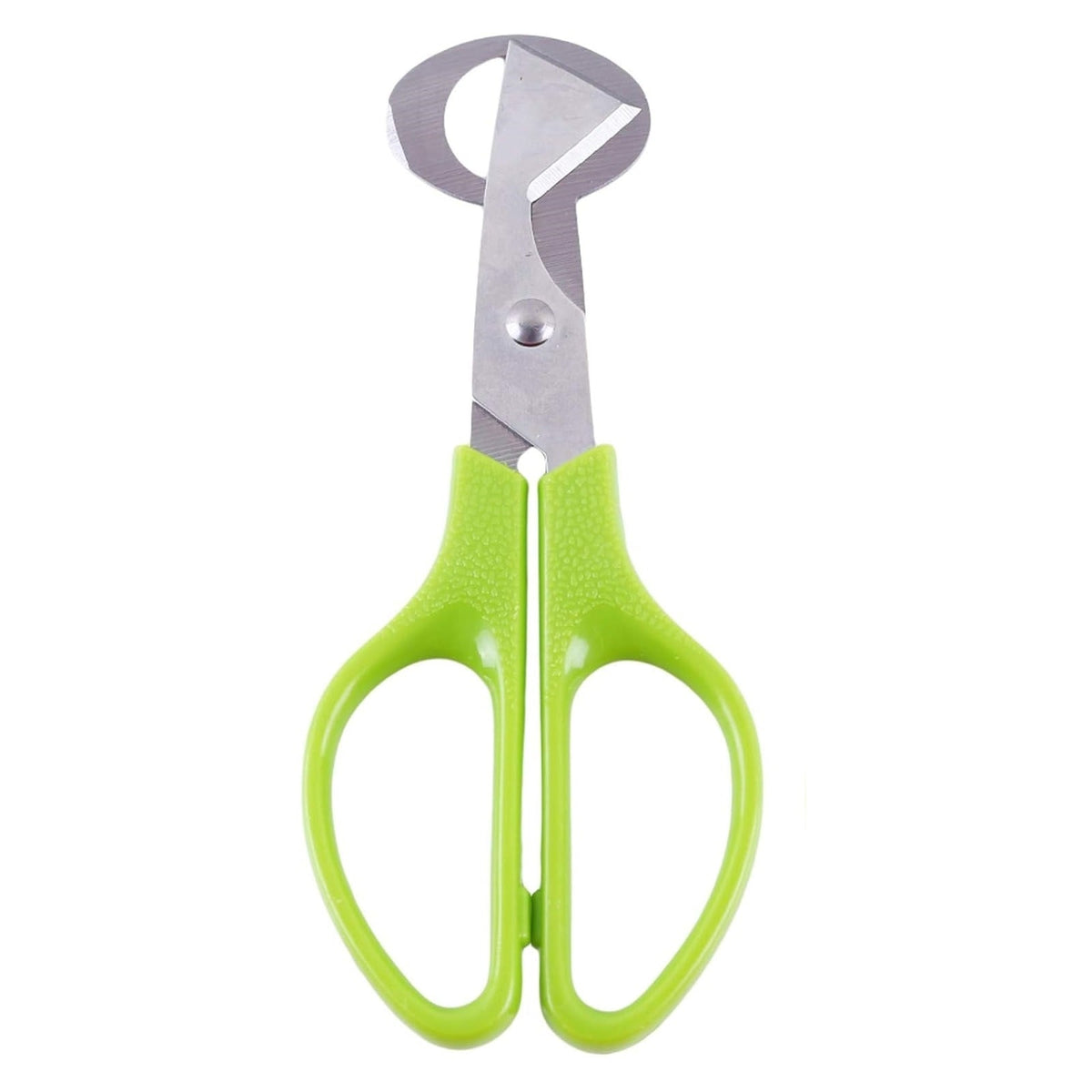 Quail Egg Cutting Tool for Pigeon Birds