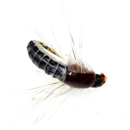 32-112 Piece Fly Fishing Lure Collection - Dry and Wet Flies with Box