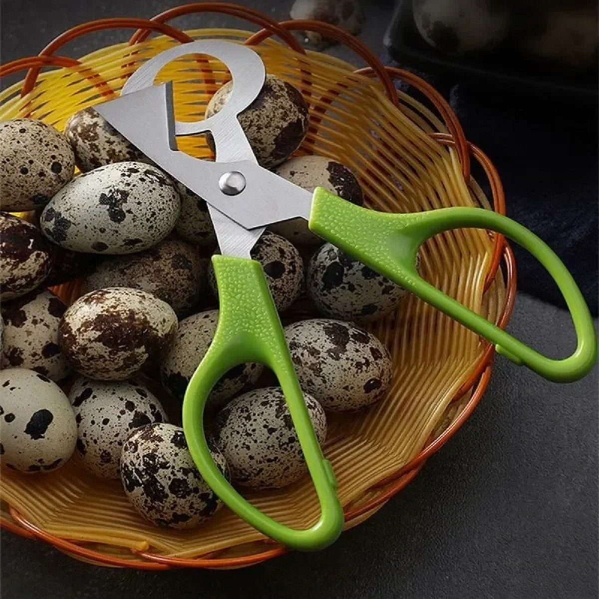Quail Egg Cutting Tool for Pigeon Birds