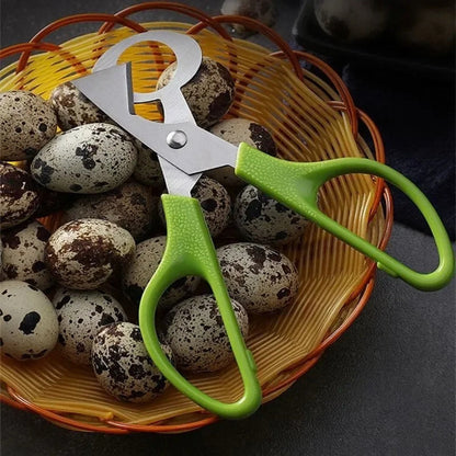 Quail Egg Cutting Tool for Pigeon Birds