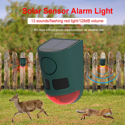 Waterproof Outdoor Animal Deterrent with 129dB Solar Motion Sensor Alarm
