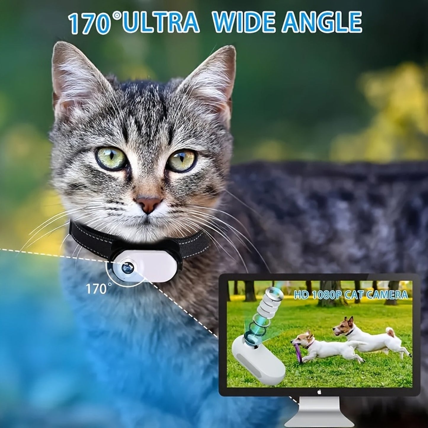 Cat Camera for Pet Monitoring