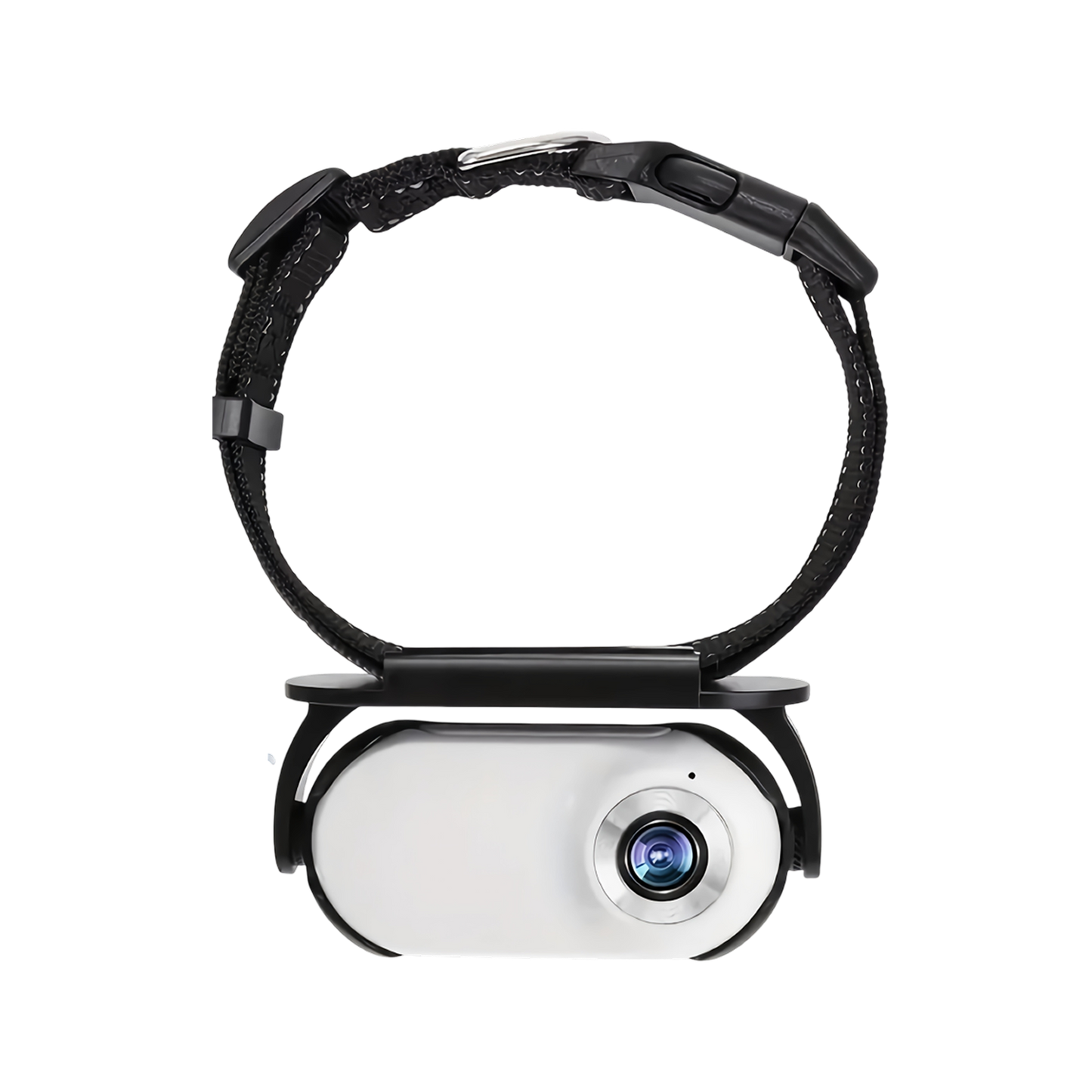Cat Camera for Pet Monitoring