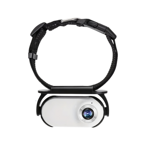 Cat Camera for Pet Monitoring