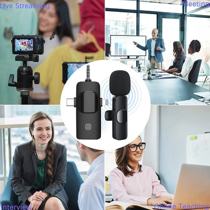 Compact Miniature Microphone