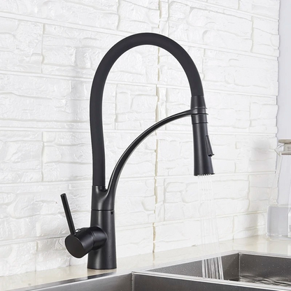 Versatile Kitchen Mixer Featuring Handheld Shower and Dual Functions