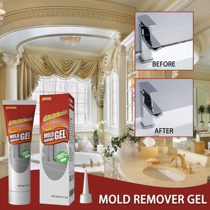 Ultimate Mold and Mildew Eliminator Gel with Precision Applicator