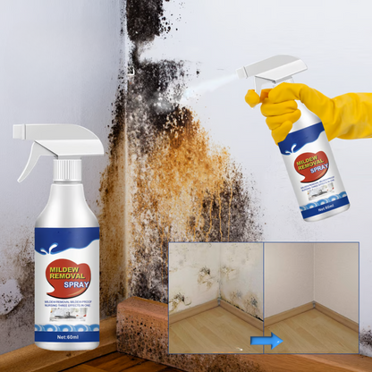 Mold Removal Spray for Effective Mold Elimination