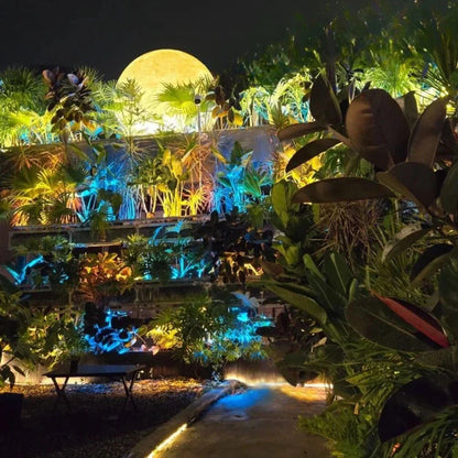 Solar LED Garden Sphere Lights – Remote-Controlled Outdoor Illumination