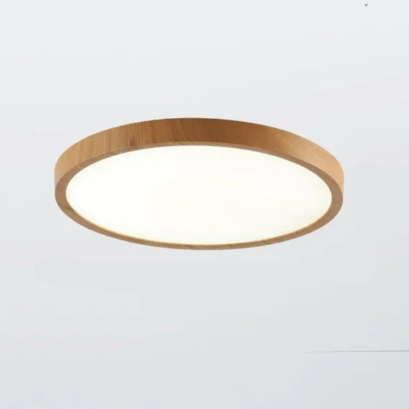 Dimmable Round Ceiling Light Fixture with 3 Modes – Slim Design