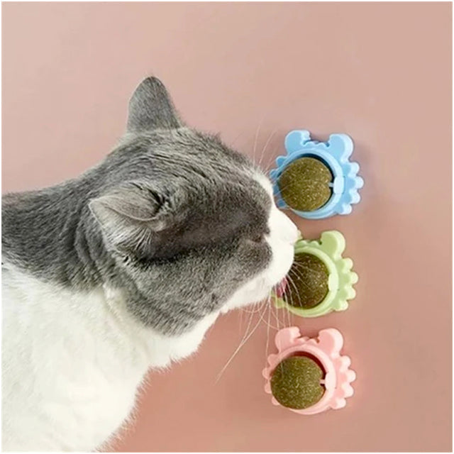 The Ultimate Catnip Adventure Ball