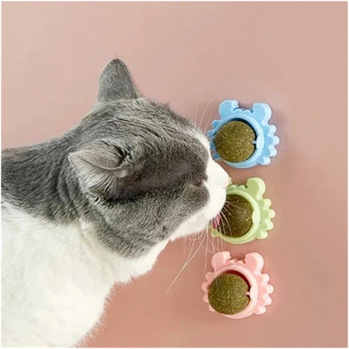 The Ultimate Catnip Adventure Ball