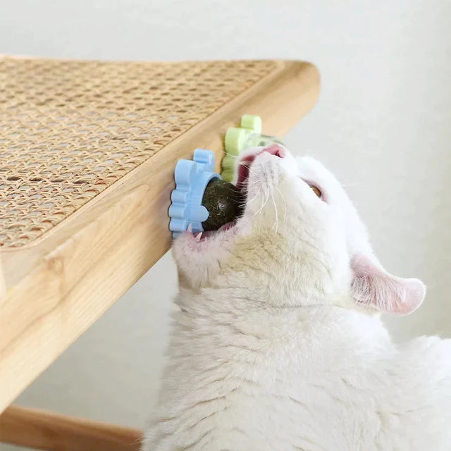 The Ultimate Catnip Adventure Ball