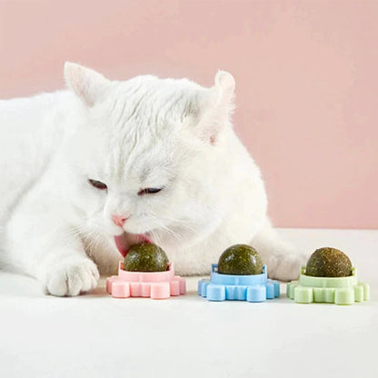 The Ultimate Catnip Adventure Ball