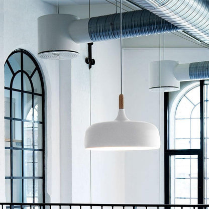 Pendant Light in Acorn Shape