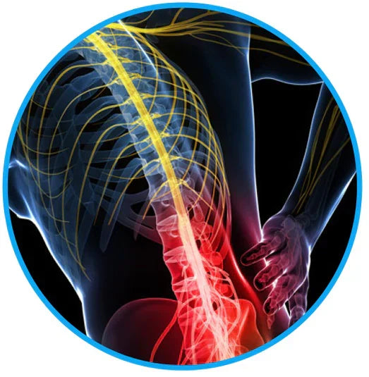 Sciatica Relief Belt - Alleviate Your Back and Nerve Pain