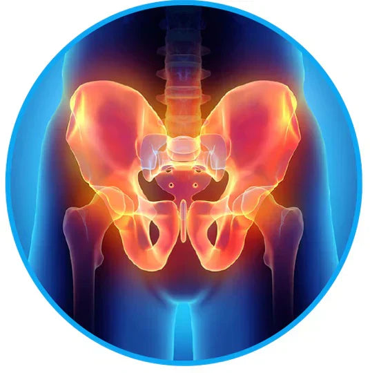 Sciatica Relief Belt - Alleviate Your Back and Nerve Pain