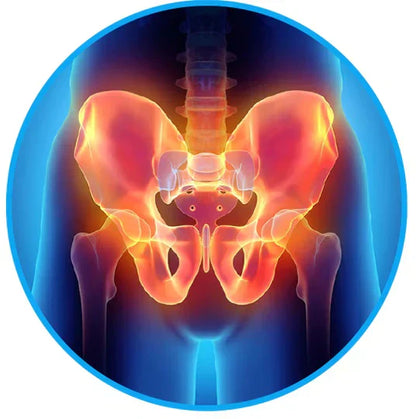 Sciatica Relief Belt - Alleviate Your Back and Nerve Pain