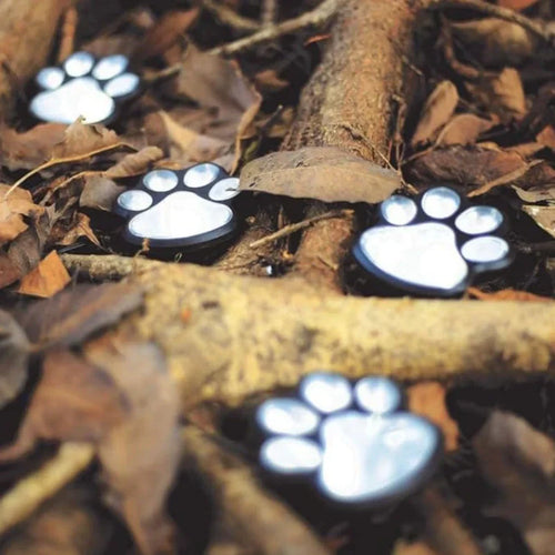 Outdoor Solar Light in Paw Shape – Energy-Saving Design