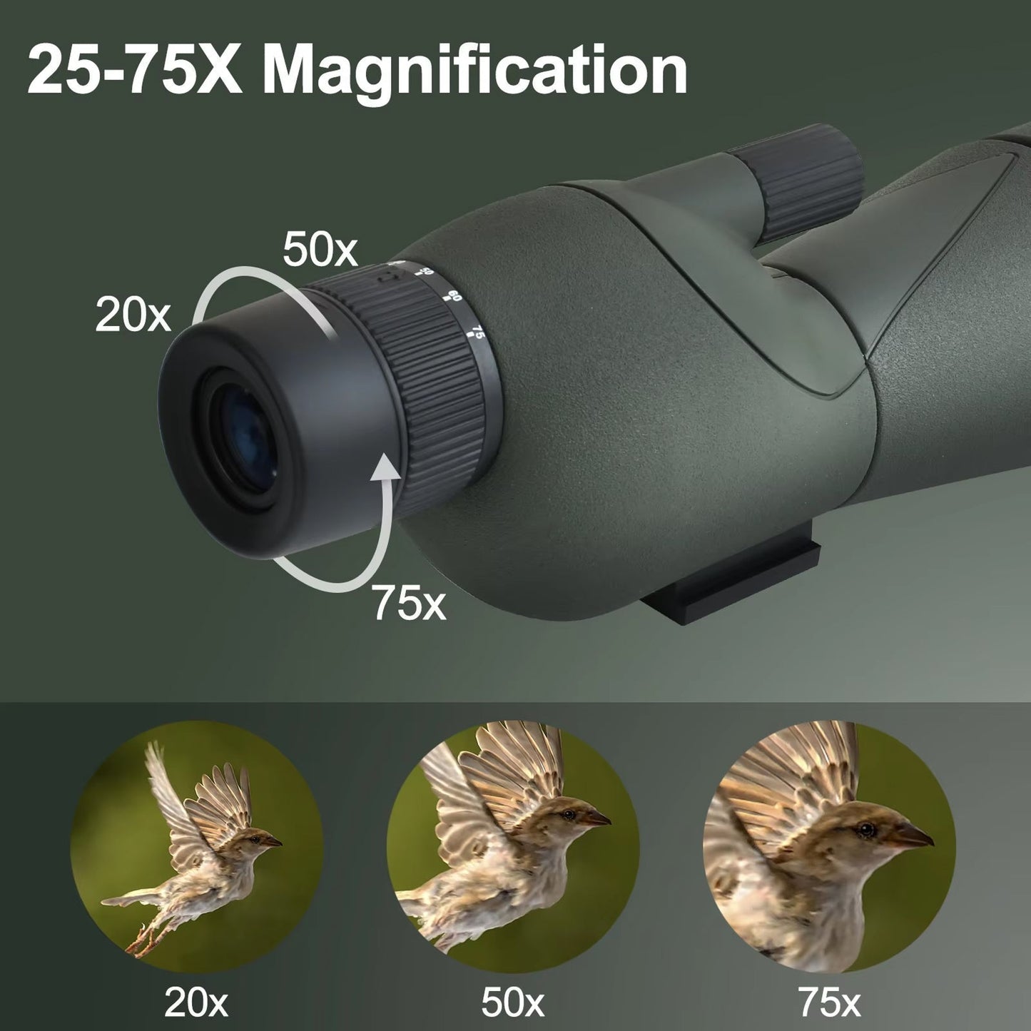 Monocular for Bird Observation - OrniLens v2 Model