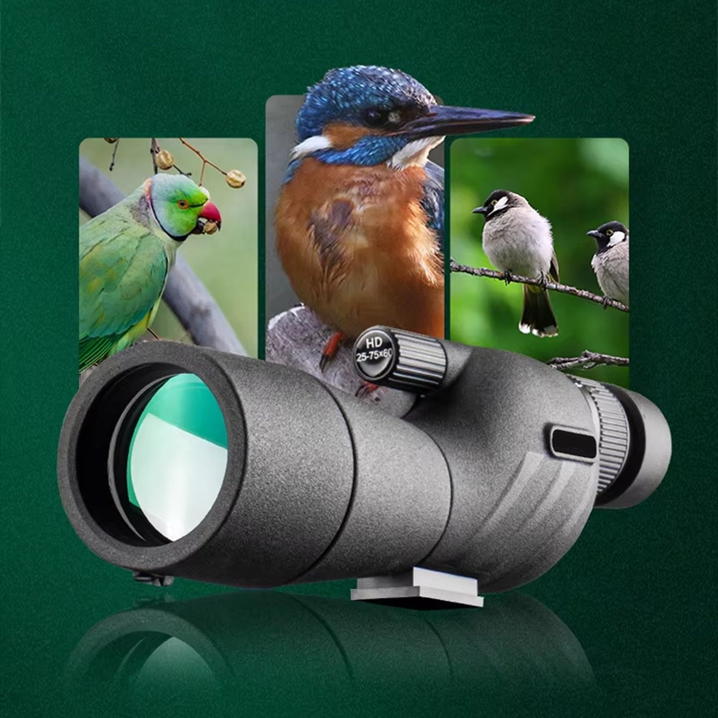 Monocular for Bird Observation - OrniLens v2 Model