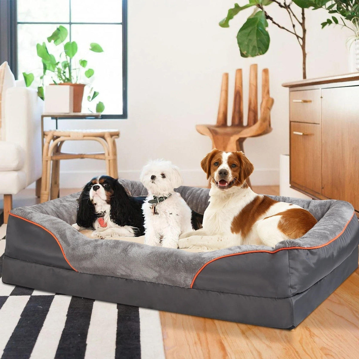 Ultimate Comfort Dog Bed with Supportive Foam & Washable Cover