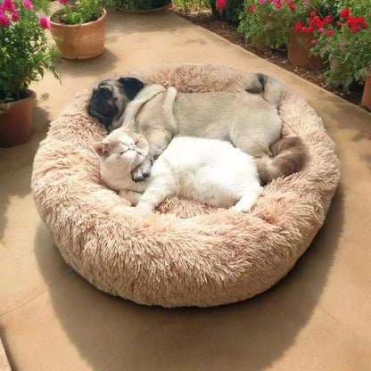 Cozy Nesting Dog Bed with Plush Supportive Bolster