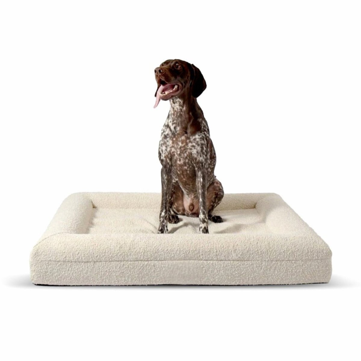 Orthopedic Dog Bed with Bouclé Cover – Washable Memory Foam Cushion