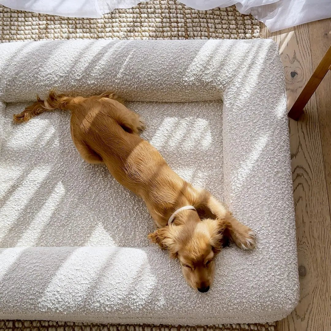 Orthopedic Dog Bed with Bouclé Cover – Washable Memory Foam Cushion