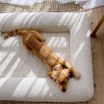 Orthopedic Dog Bed with Bouclé Cover – Washable Memory Foam Cushion