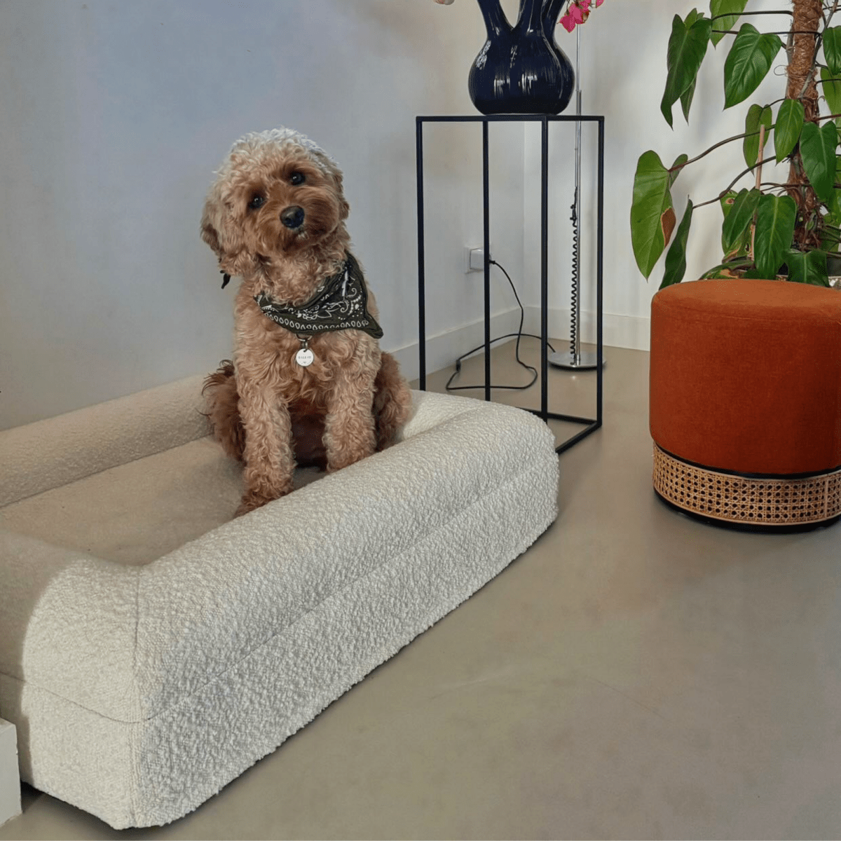 Orthopedic Dog Bed with Bouclé Cover – Washable Memory Foam Cushion