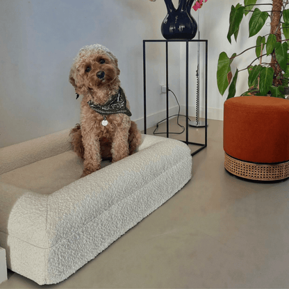 Orthopedic Dog Bed with Bouclé Cover – Washable Memory Foam Cushion