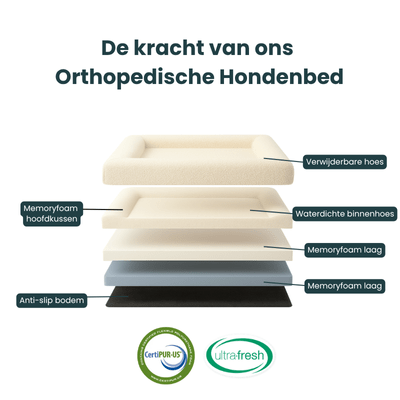 Orthopedic Dog Bed with Bouclé Cover – Washable Memory Foam Cushion