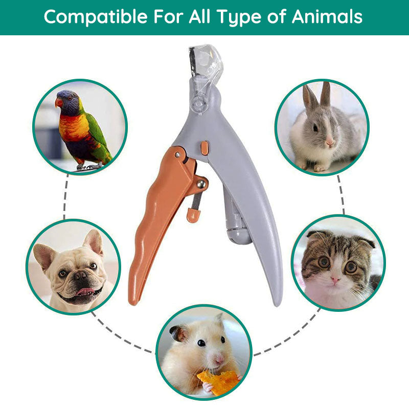Dog Nail Clippers with Quick Sensors for Efficient Grooming