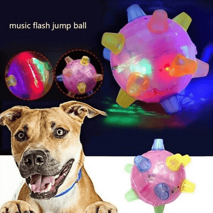 Interactive LED Dog Bouncing Ball – PAWBOUNCE Toy