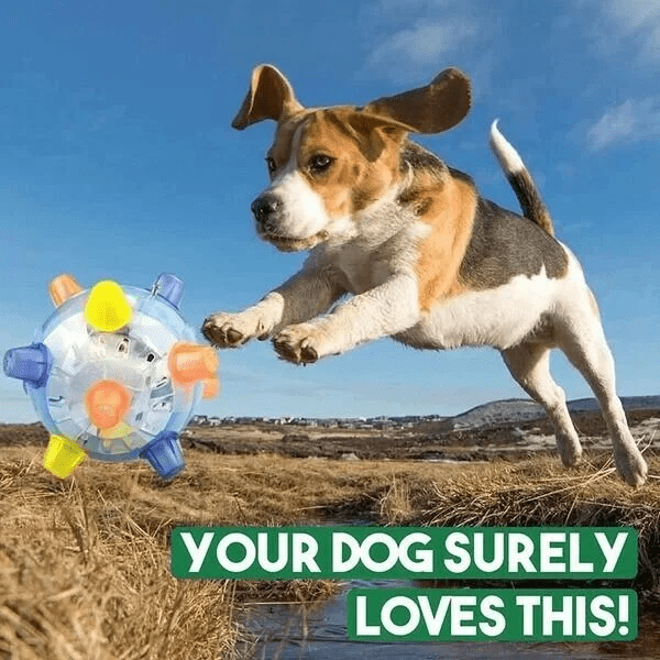 Interactive LED Dog Bouncing Ball – PAWBOUNCE Toy