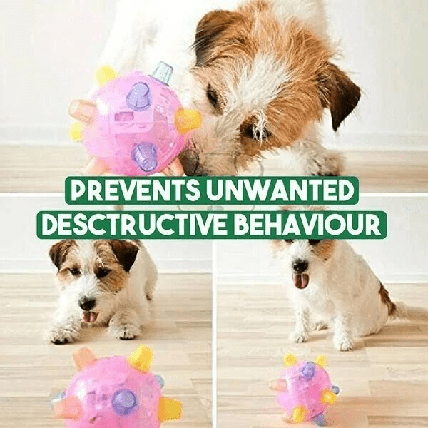 Interactive LED Dog Bouncing Ball – PAWBOUNCE Toy