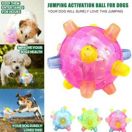 Interactive LED Dog Bouncing Ball – PAWBOUNCE Toy
