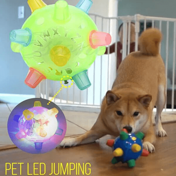 Interactive LED Dog Bouncing Ball – PAWBOUNCE Toy