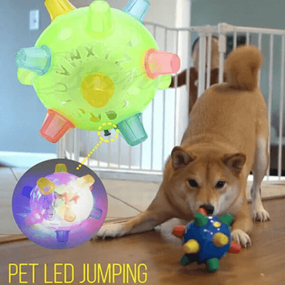 Interactive LED Dog Bouncing Ball – PAWBOUNCE Toy