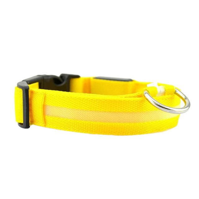 LED Pet Collar for Safety and Visibility – Glow in the Dark